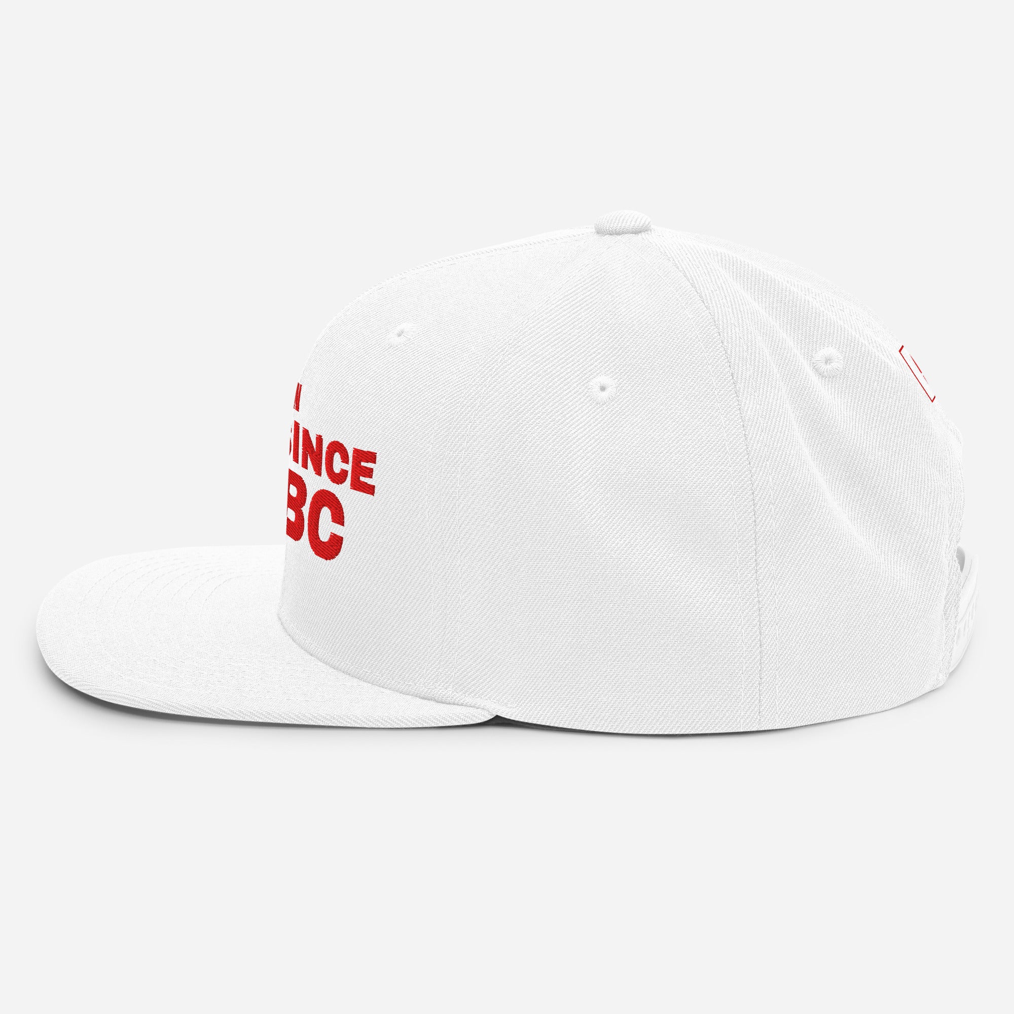 White snapback cap with JAPAN GREAT SINCE 660 BC embroidery